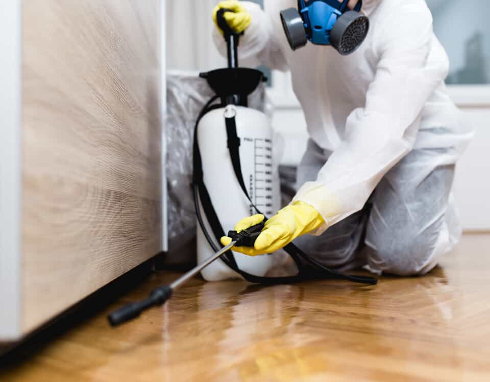 Elk Grove Pest Control | All Clear Pest Control